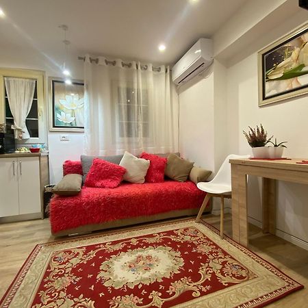 Central Welcoming Apartment In 地拉那 外观 照片