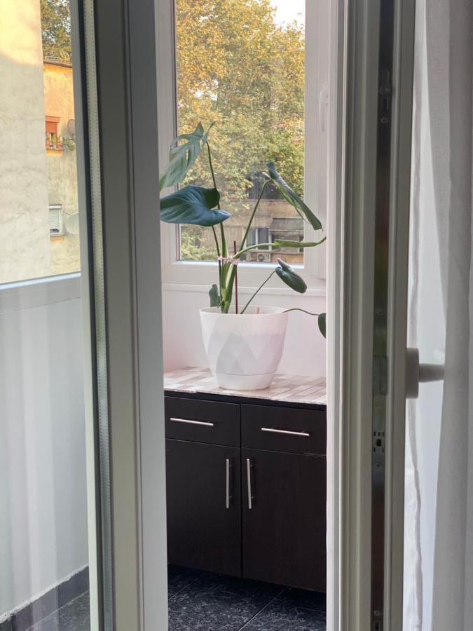 Central Welcoming Apartment In 地拉那 外观 照片