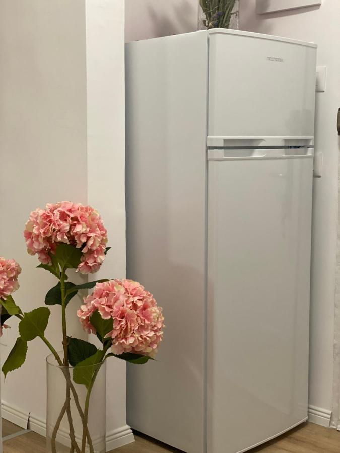 Central Welcoming Apartment In 地拉那 外观 照片